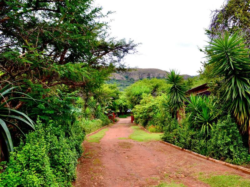 ***7ha Bushveld Property with Equestrian Facilities & Multiple Income Possibilities – Kameeldrift West | Under R3m*** - Photo 5