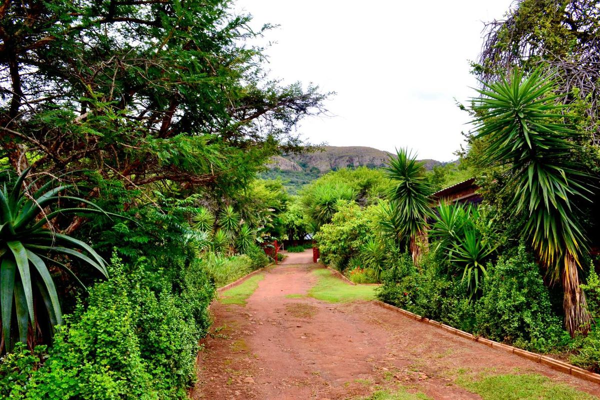 ***7ha Bushveld Property with Equestrian Facilities & Multiple Income Possibilities – Kameeldrift West | Under R3m*** - Photo 5