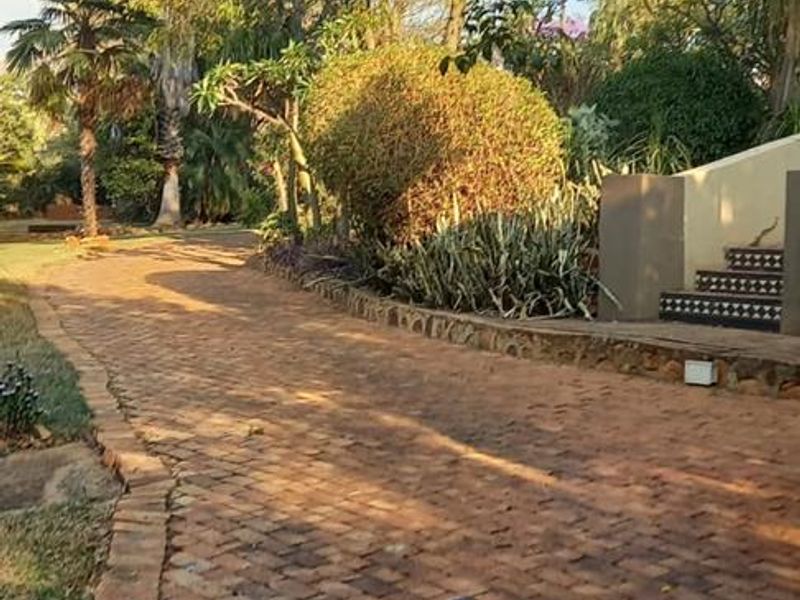 Great investment opportunity - Photo 7