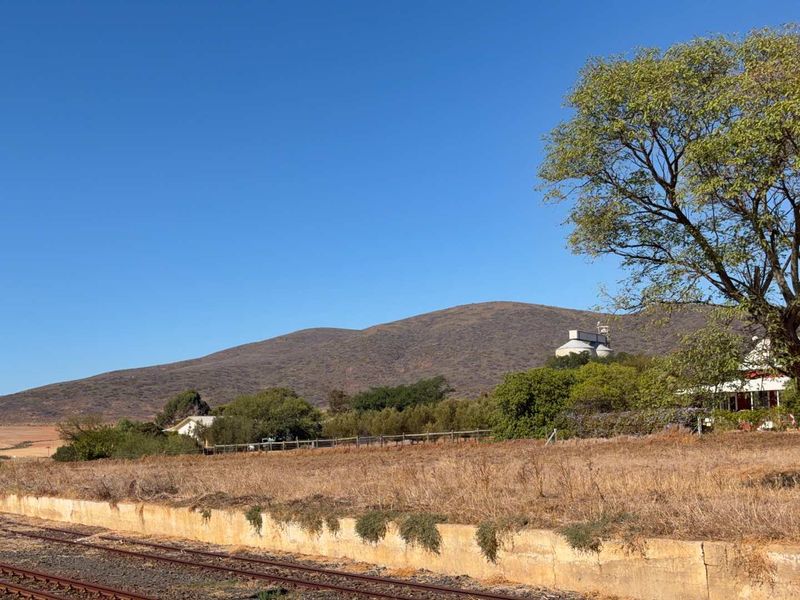 Vacant Land in the Heart of Charming Koringberg - Photo 9