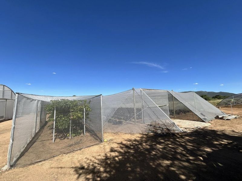 Welcome to a unique smallholding situated approximately 36 km east of Windhoek - Photo 4