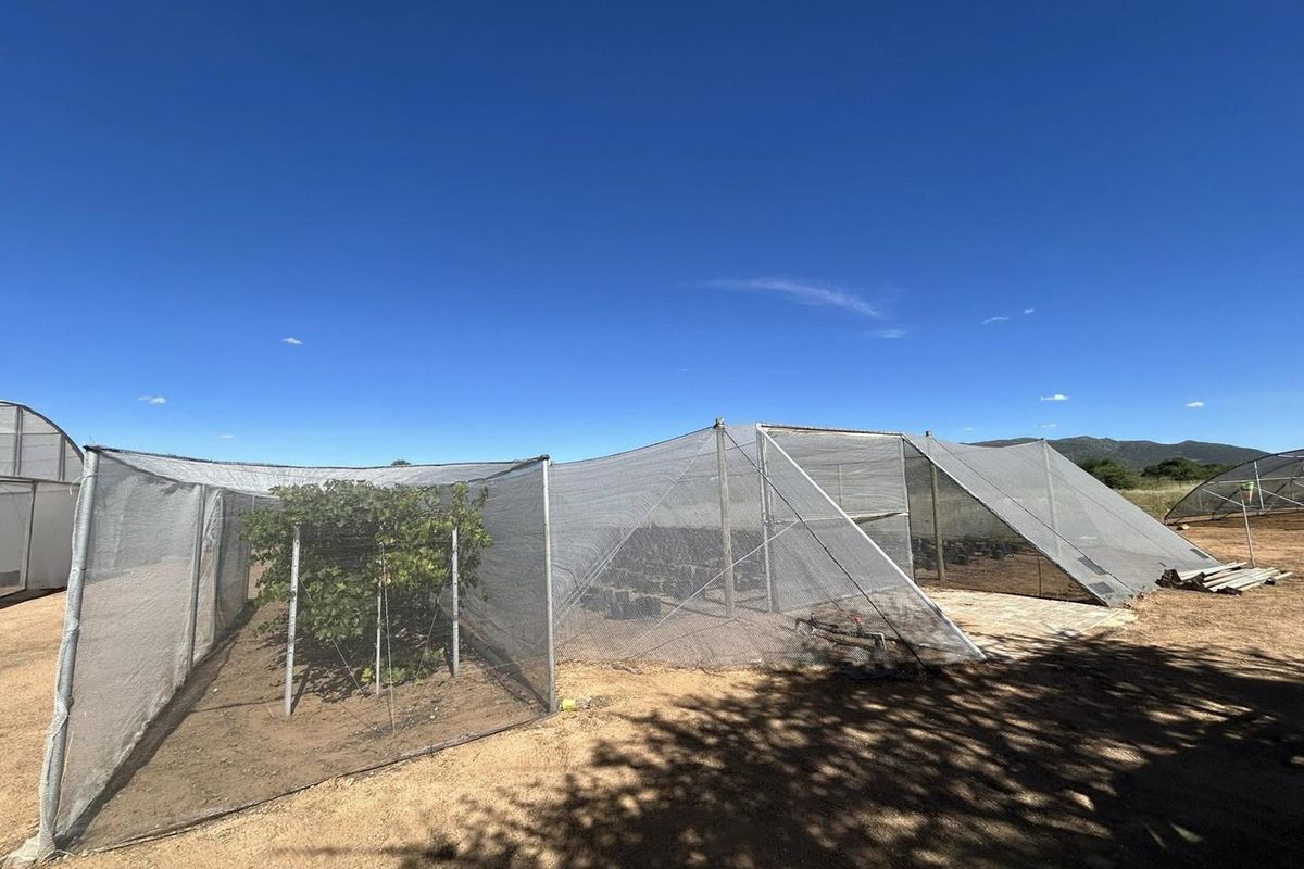 Welcome to a unique smallholding situated approximately 36 km east of Windhoek - Photo 4