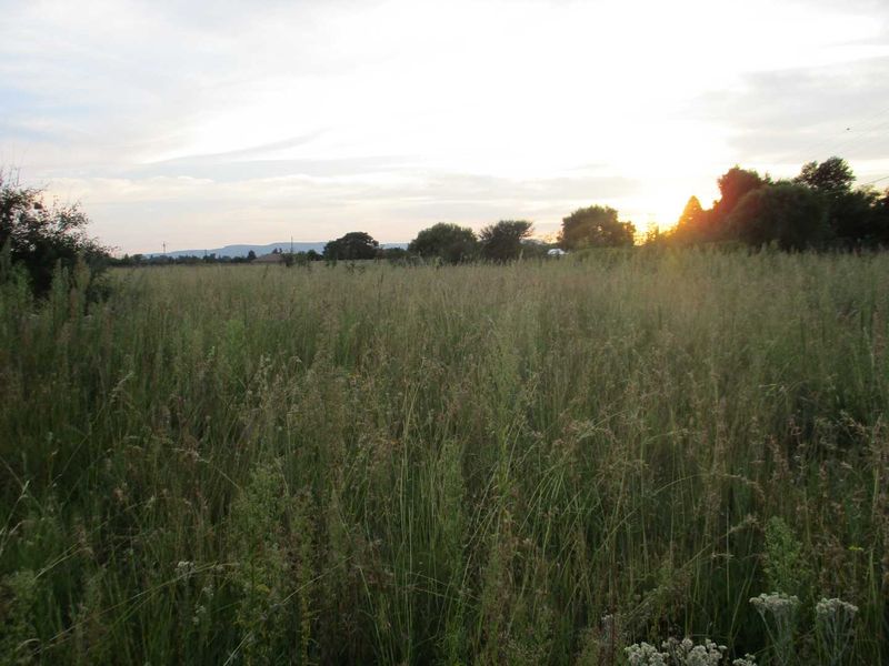 Calling all Developers - Photo 3