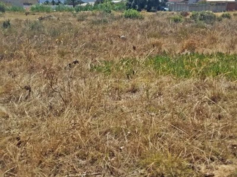 Sail into the sunset - Photo 9