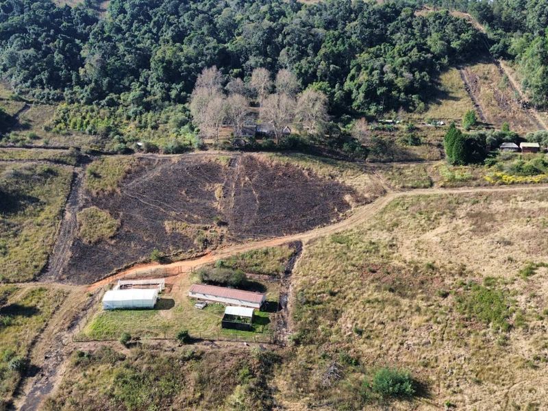 Midlands Lifestyle Farm with Forest, Views & Spring Water, Balgowan, Howick - Photo 1