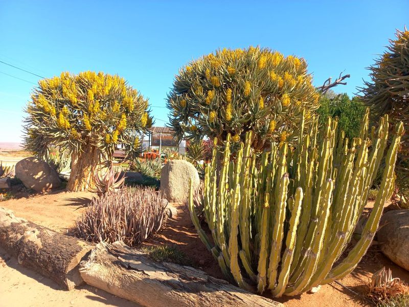 CALLING ALL THE ENTREPRENEURS! - Photo 7