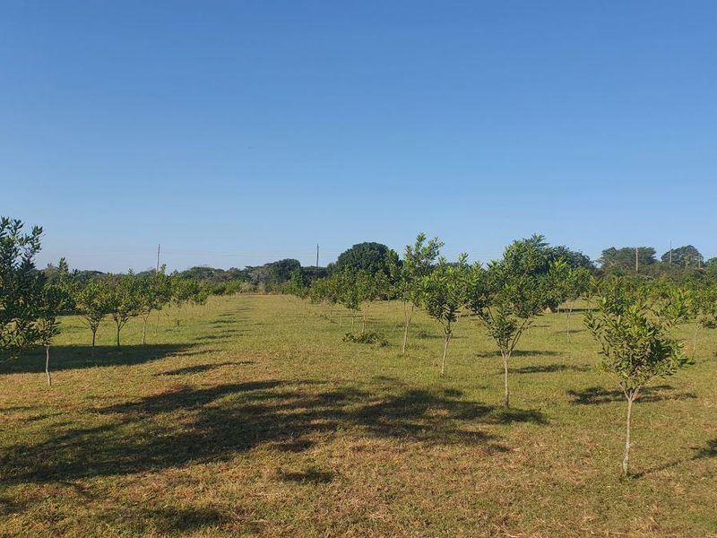 Spectacular Smallholding for Sale – A View and location Money Can’t Buy - Photo 10