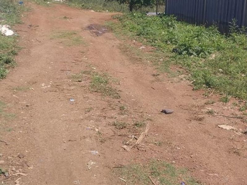 An unpaved access path leading past a corrugated metal structure on a rural farm property.