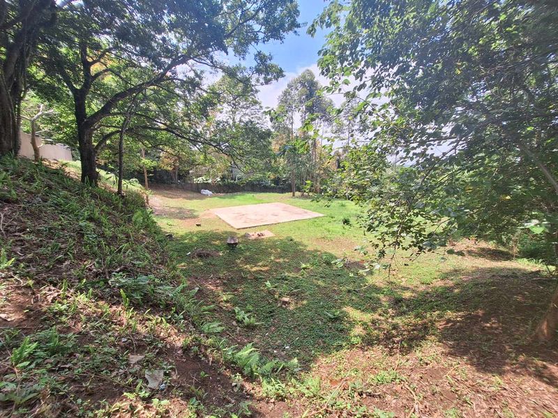 A Rare Sanctuary of Space, Security & Scenic Beauty - Photo 3