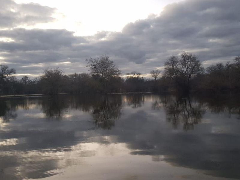 A scenic view of a calm body of water surrounded by trees under a cloudy sky on the farm property.