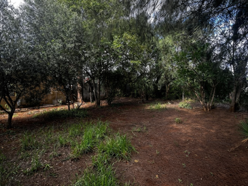 Charming Home on a Spacious Erf in Petrusburg – Endless Potential! - Photo 9