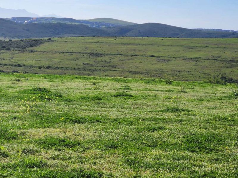 Expansive scenic view of the rolling farm landscape and distant hills, showcasing the natural beauty and open space of the property.
