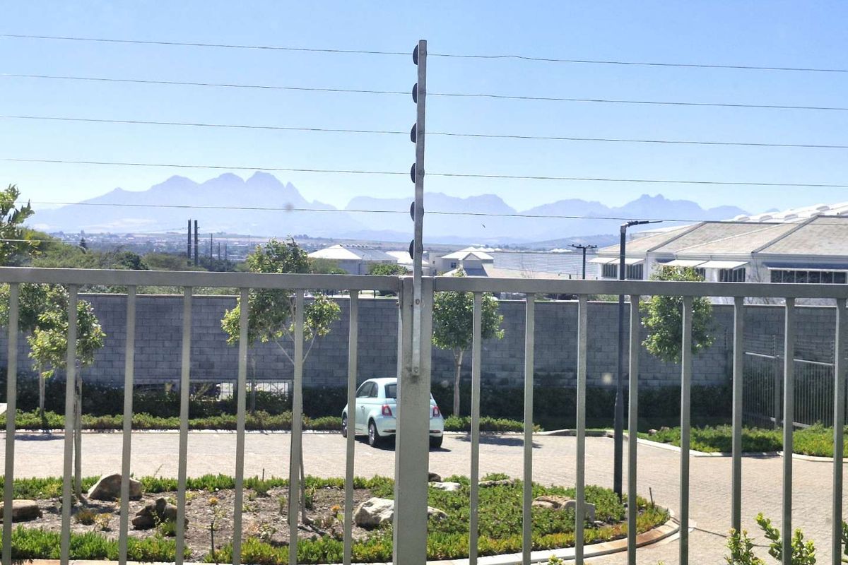 Sunny Spacious three bedroom ground floor apartment - Photo 4