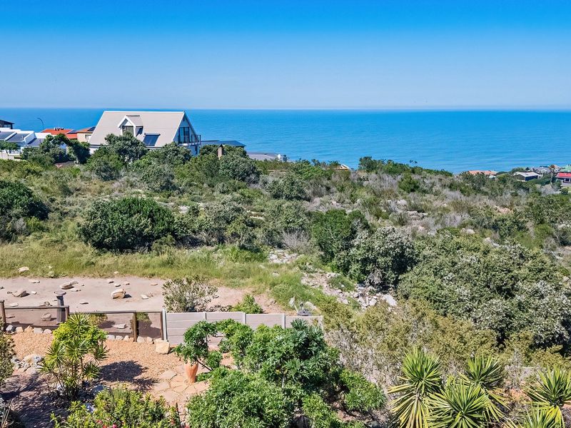 Elevated coastal view overlooking natural vegetation and the ocean, showcasing the property's scenic surroundings and proximity to the coastline.