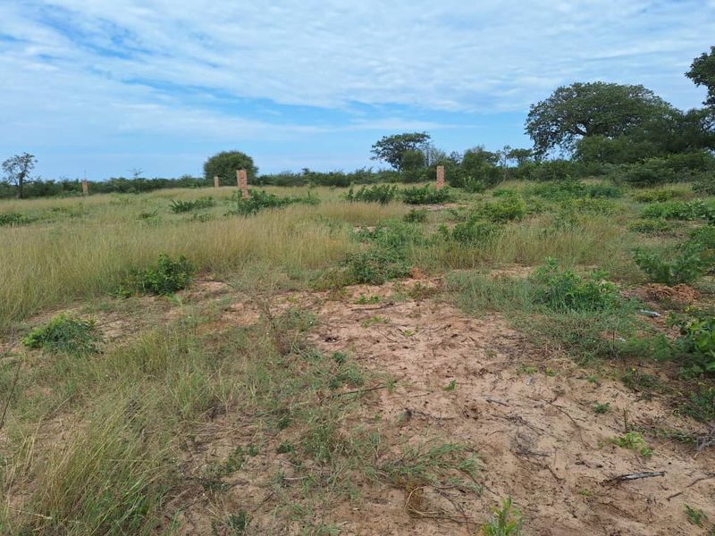 Industrial land for sale - Photo 3