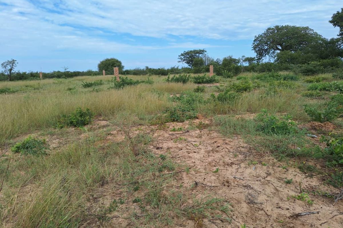 Industrial land for sale - Photo 3