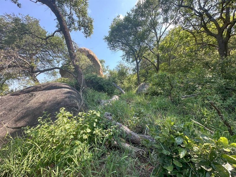 Big 5 game farm with extensive traversing - Photo 6