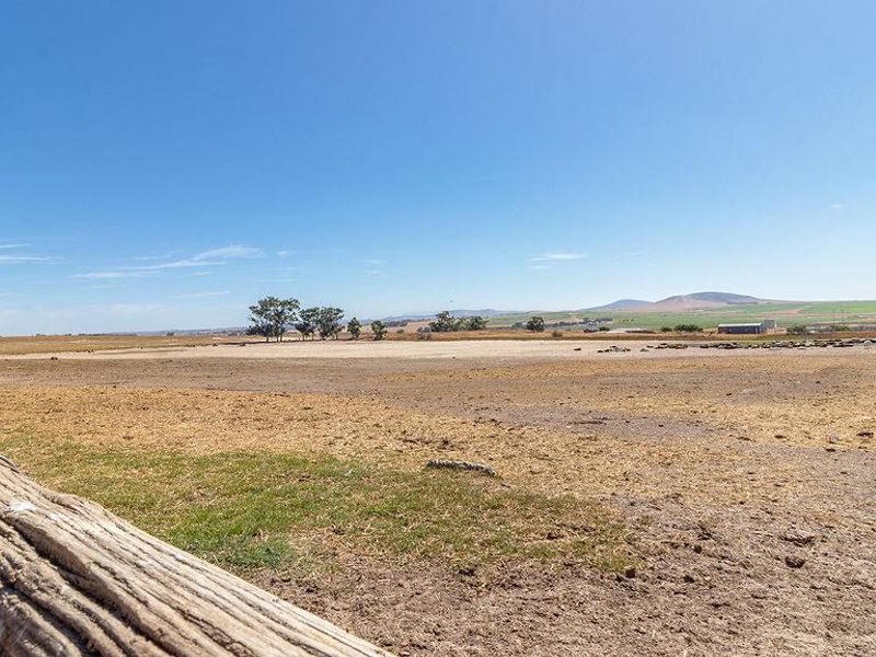 Prime land for rezoning and development by the new airport - Photo 6
