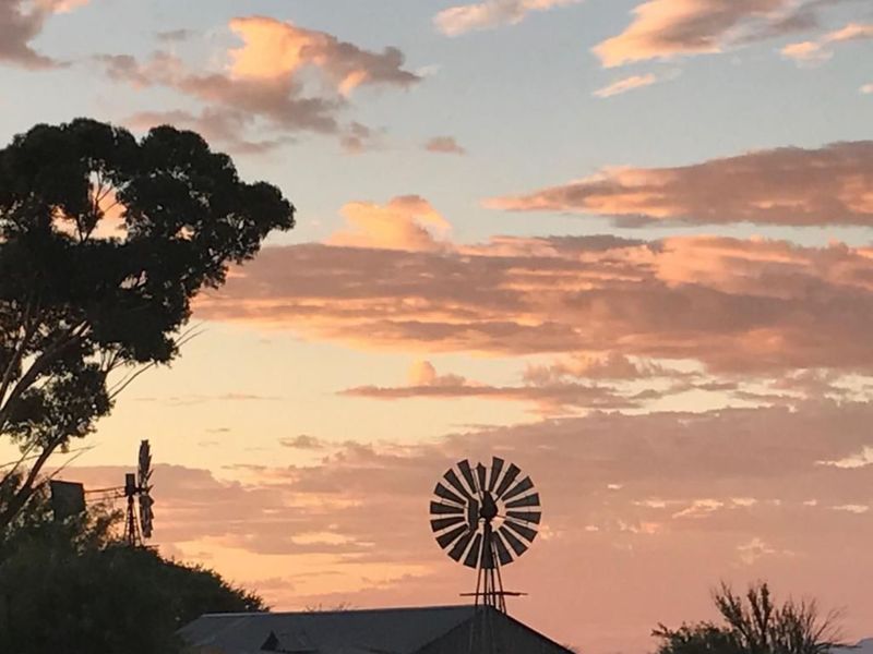 FARM FOR SALE IN KARAS REGION - Photo 4