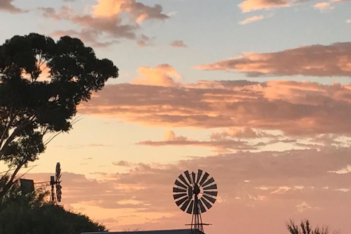 FARM FOR SALE IN KARAS REGION - Photo 4