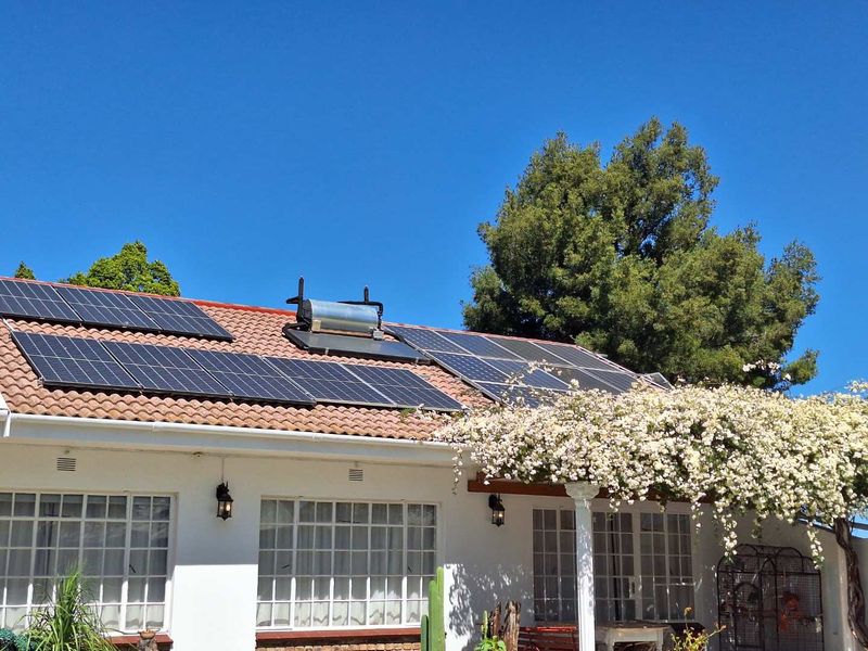 Delightfully Peaceful - Photo 4