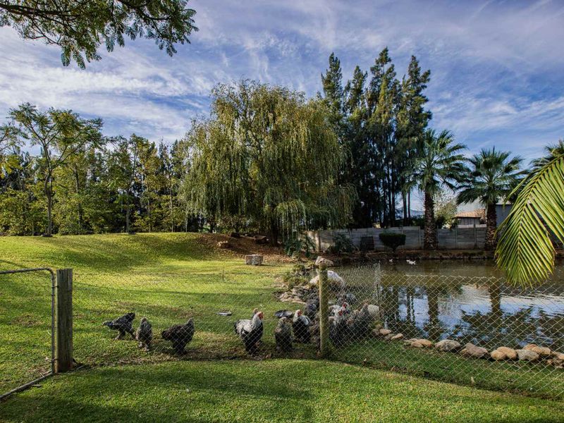 Nature Lovers paradise in the heart of the Boland - Photo 2