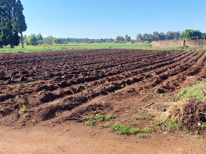 A view of a large, tilled agricultural field on the farm, featuring irrigation infrastructure and enclosed by a boundary wall and metal gate.