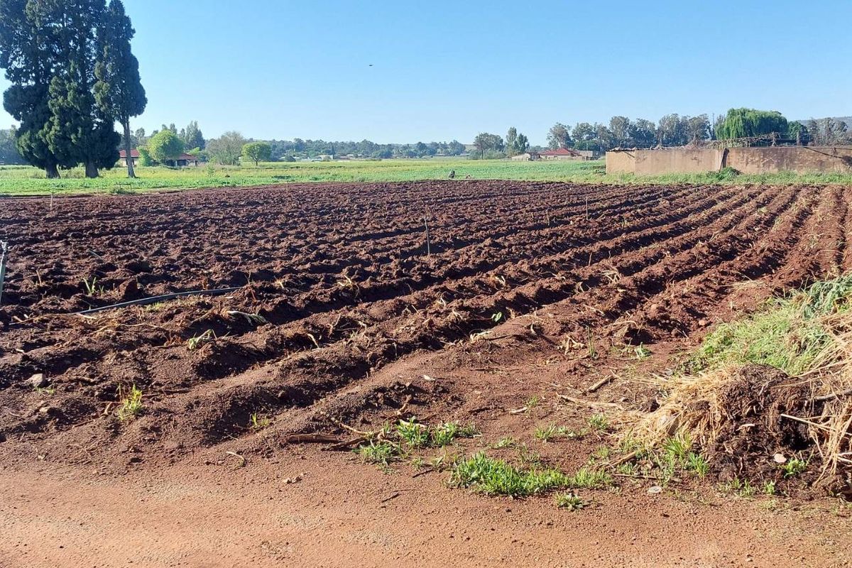 A view of a large, tilled agricultural field on the farm, featuring irrigation infrastructure and enclosed by a boundary wall and metal gate.