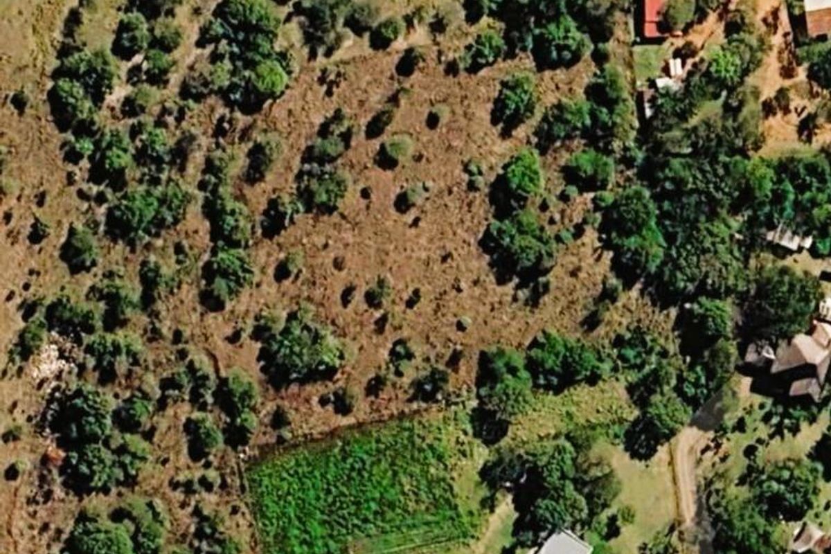 An aerial view of a vacant agricultural plot featuring natural vegetation, scattered trees, and open land areas.