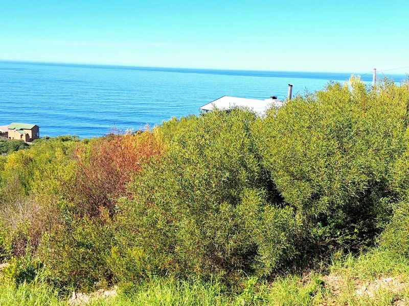 Spectacular 900m2 Vacant Land for Sale in Dana Bay - Photo 2