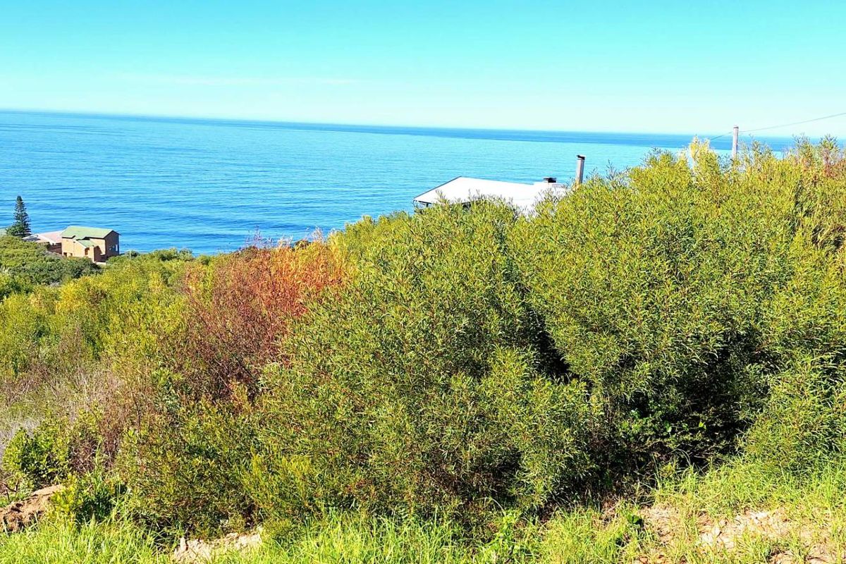 Spectacular 900m2 Vacant Land for Sale in Dana Bay - Photo 2