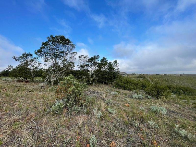 Exclusive 300 m2 Vacant Stand in Gondwana Big Five Game Reserve - Photo 4