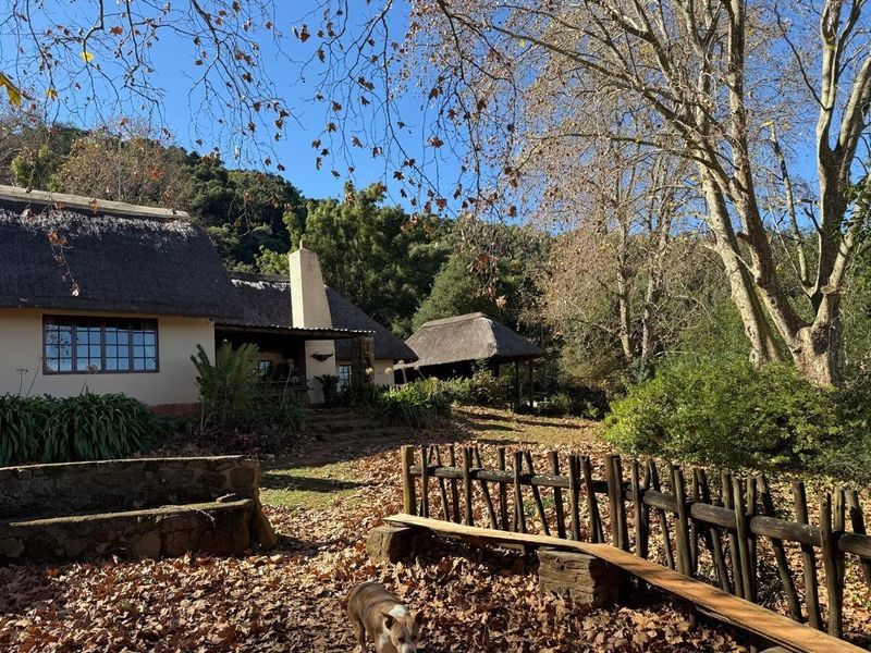 Midlands Lifestyle Farm with Forest, Views & Spring Water, Balgowan, Howick - Photo 6