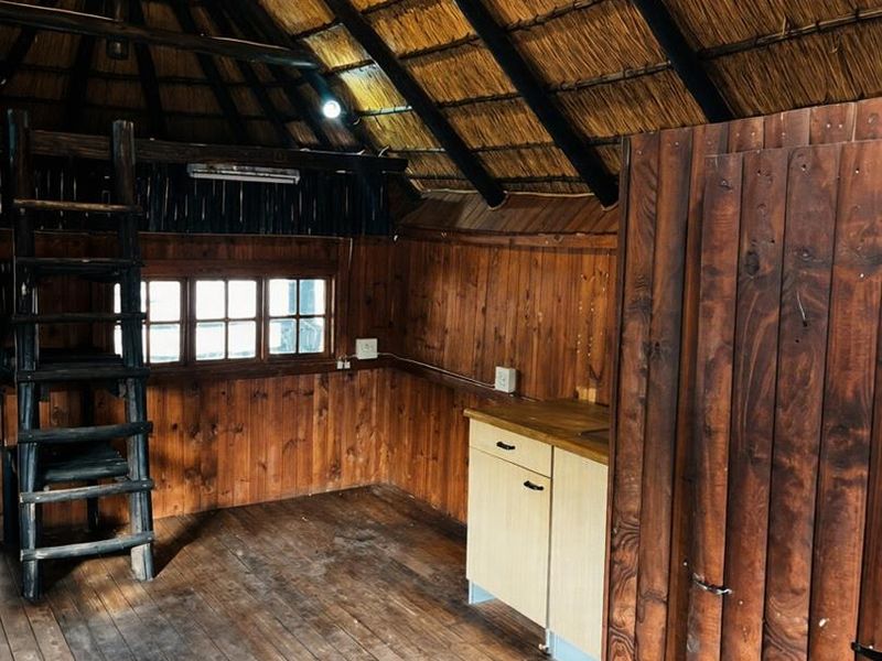 A rustic bedroom featuring a high thatched roof with exposed timber rafters, timber wall paneling, wooden flooring, and a built-in ladder to a loft area.