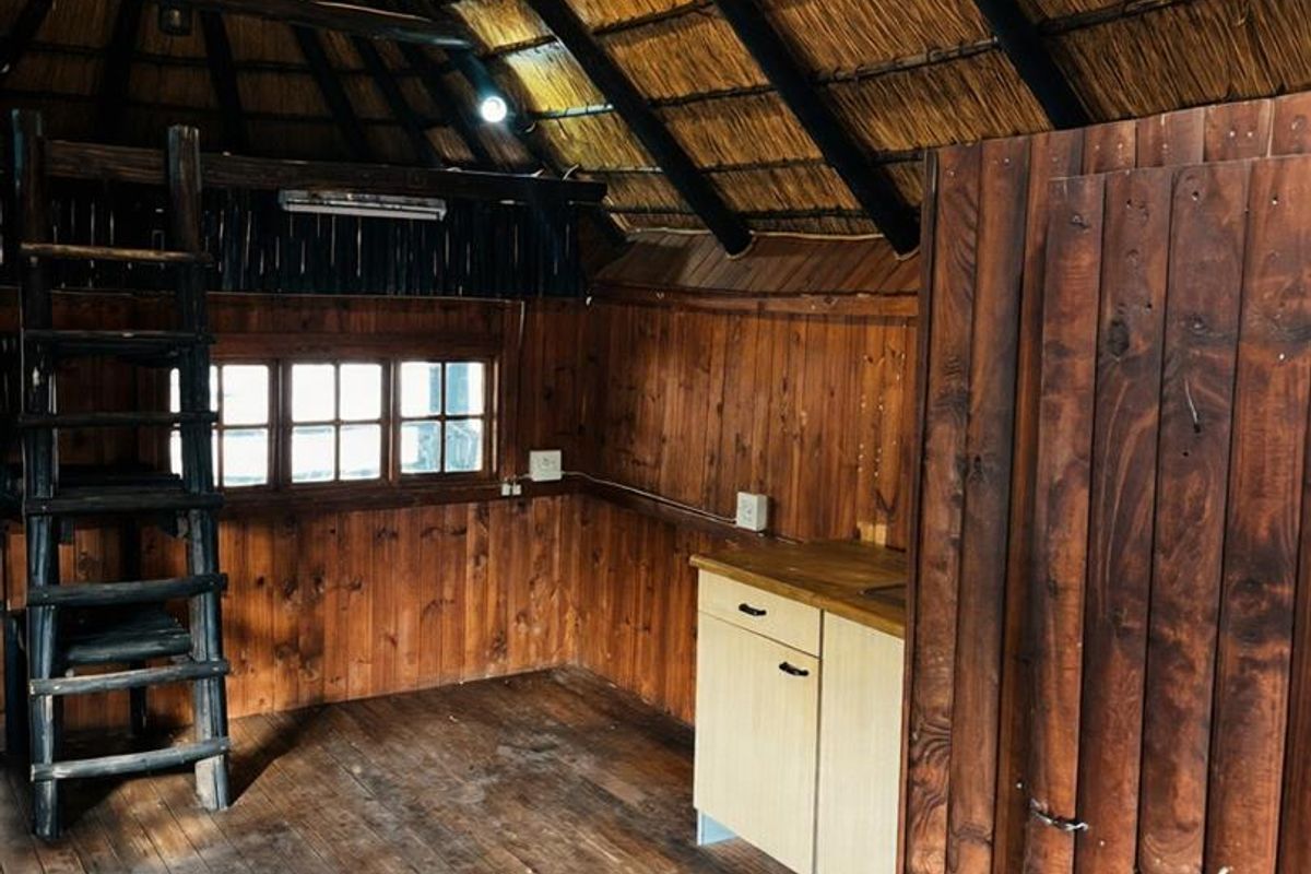 A rustic bedroom featuring a high thatched roof with exposed timber rafters, timber wall paneling, wooden flooring, and a built-in ladder to a loft area.