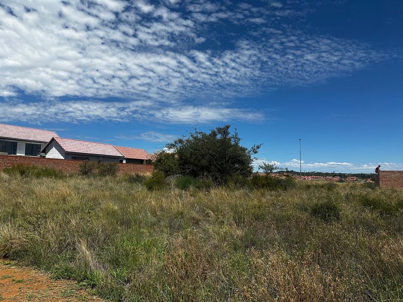 Prime Vacant Land Opportunity in Wild Olive Estate - Photo 2