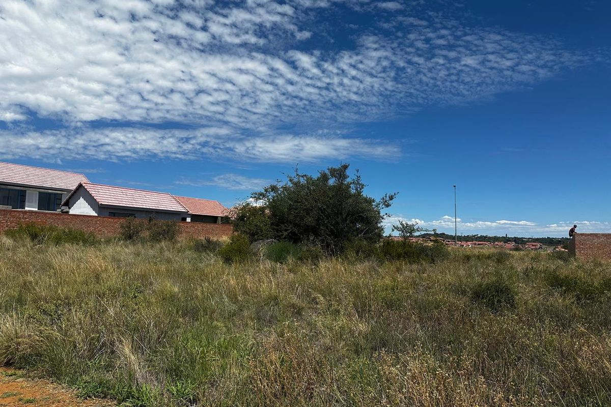 Prime Vacant Land Opportunity in Wild Olive Estate - Photo 2