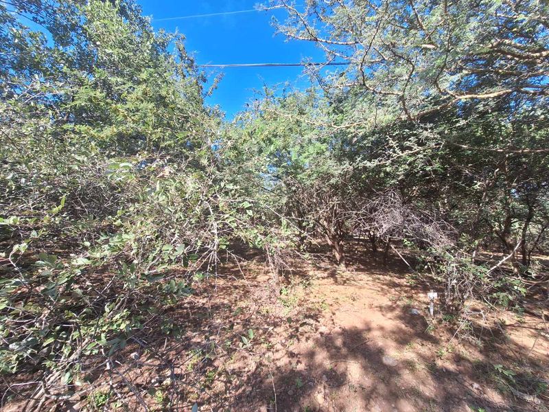 Escape to Leeupoort - Natures Sanctuary Near Pretoria - Photo 3