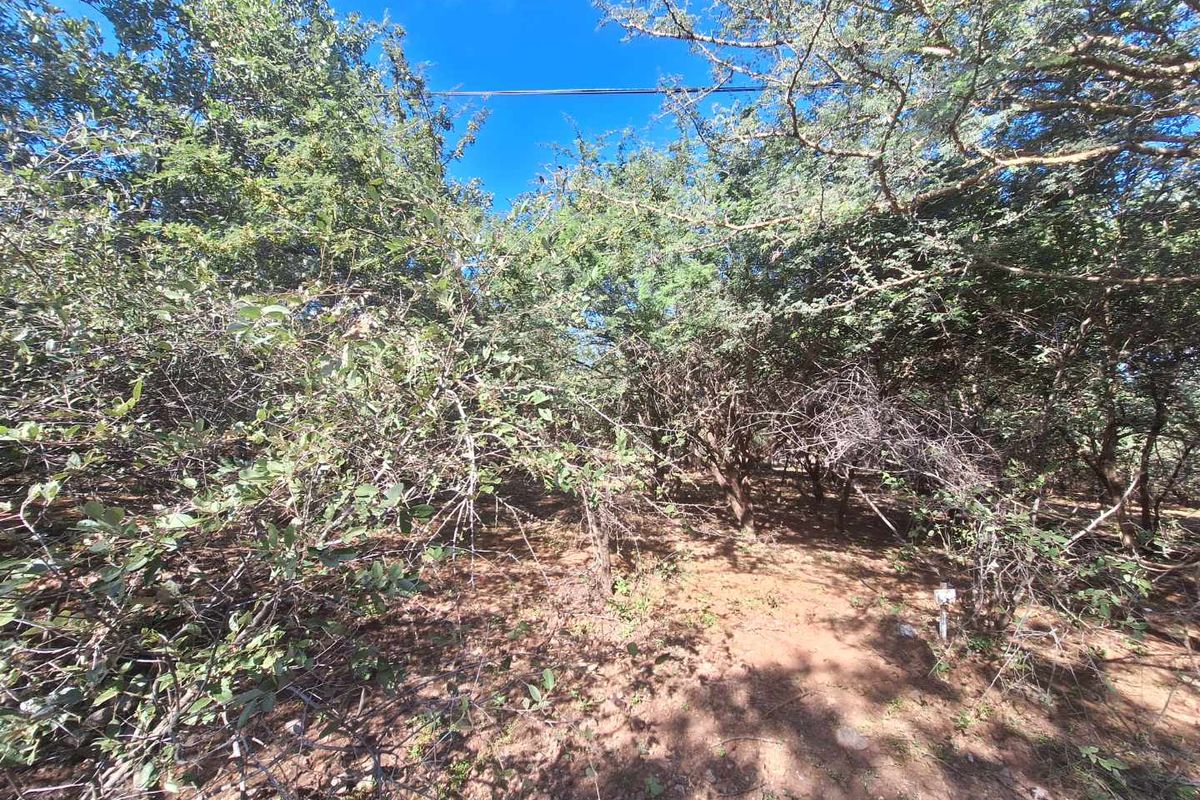 Escape to Leeupoort - Natures Sanctuary Near Pretoria - Photo 3