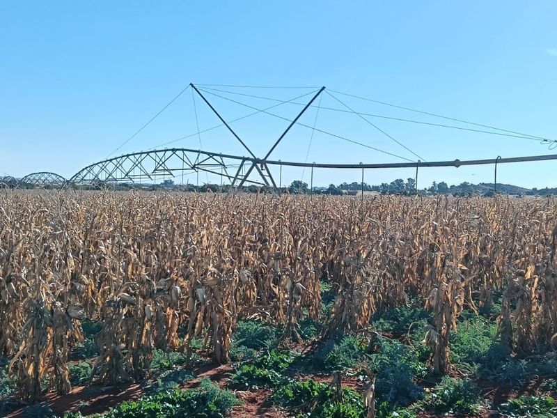 IRRIGATION FARM. 20 BORHOLES. SEVEN IRRIGATION TOWERS. CATTLE FARM - Photo 2