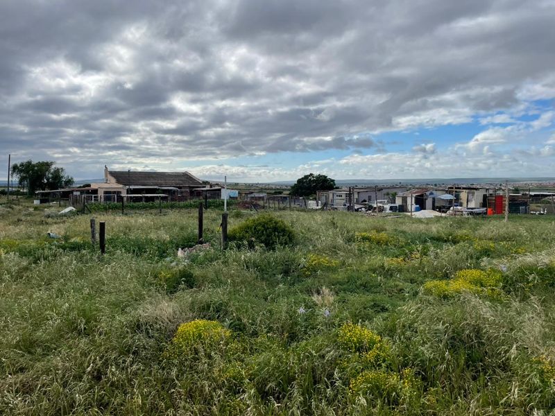 Prime Agricultural Property for Sale – Exceptional Opportunity for Mixed Farming - Photo 5
