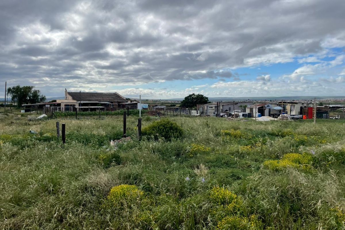 Prime Agricultural Property for Sale – Exceptional Opportunity for Mixed Farming - Photo 5