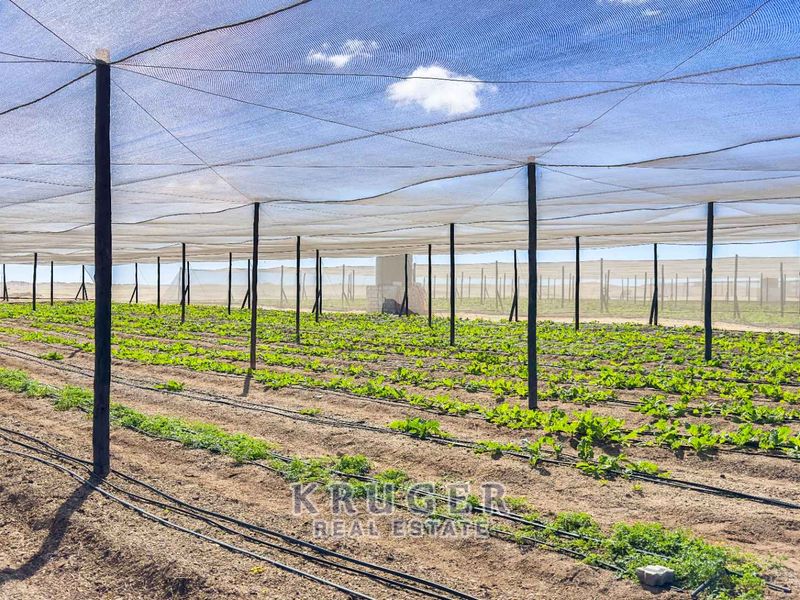 Productive Agricultural Smallholding with Established Income Stream - Photo 8