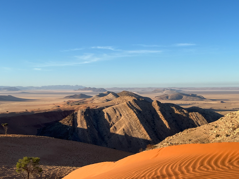 Untouched Desert Beauty - Photo 5