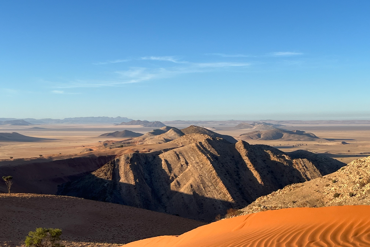 Untouched Desert Beauty - Photo 5