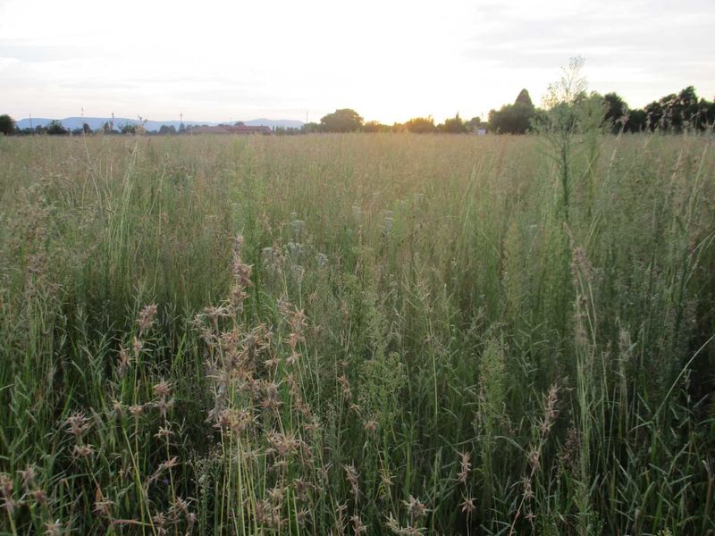 Calling all Developers - Photo 6