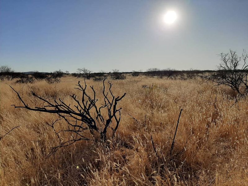 150HA PLOT, OUTJO - FOR SALE - Photo 5