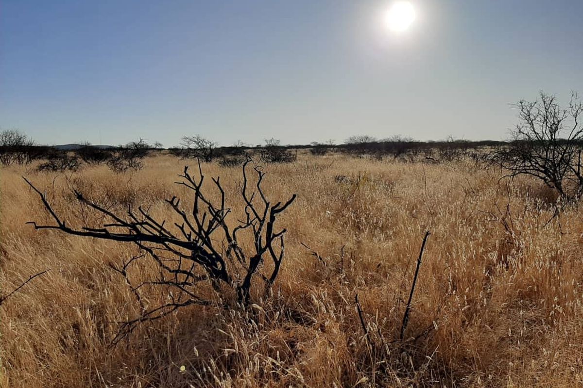 150HA PLOT, OUTJO - FOR SALE - Photo 5