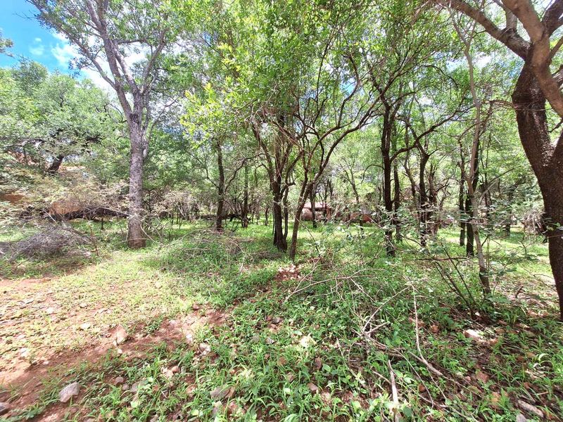 Embrace Tranquility - Prime Stand - Photo 10