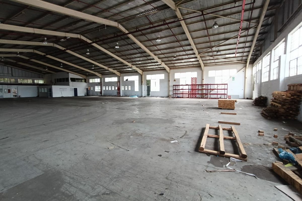TO LET | STANDALONE WAREHOUSE | LEVELLERS – WESTMEAD - Photo 3